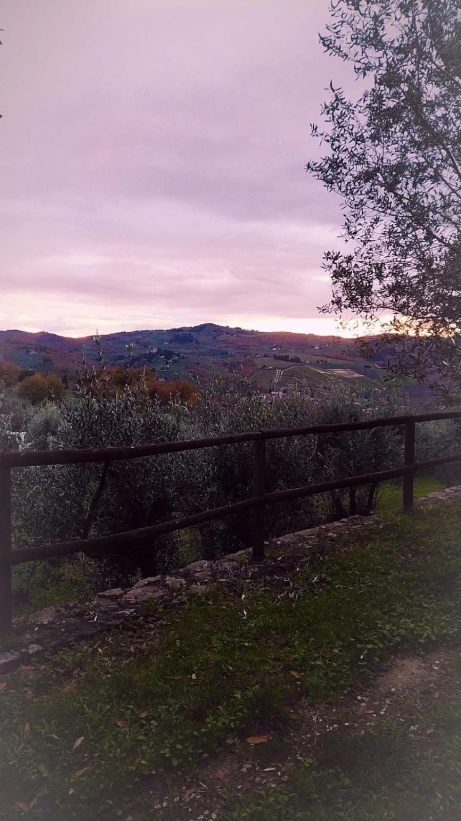 Agriturismo La Camporena 基安蒂格雷夫 外观 照片