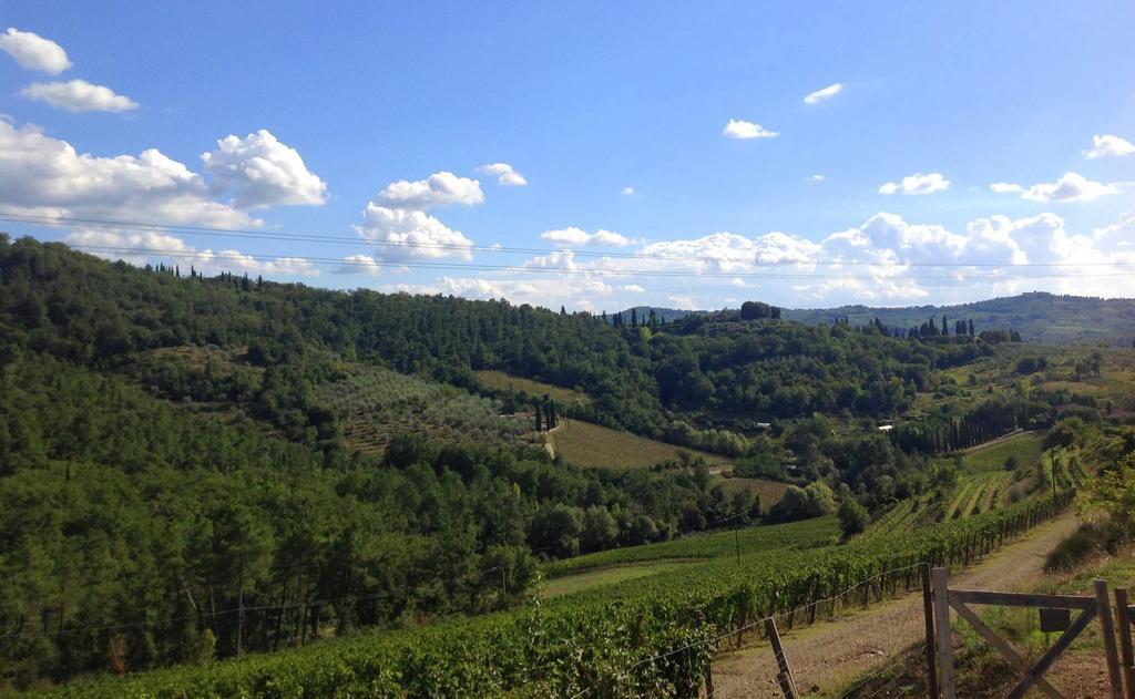 Agriturismo La Camporena 基安蒂格雷夫 外观 照片
