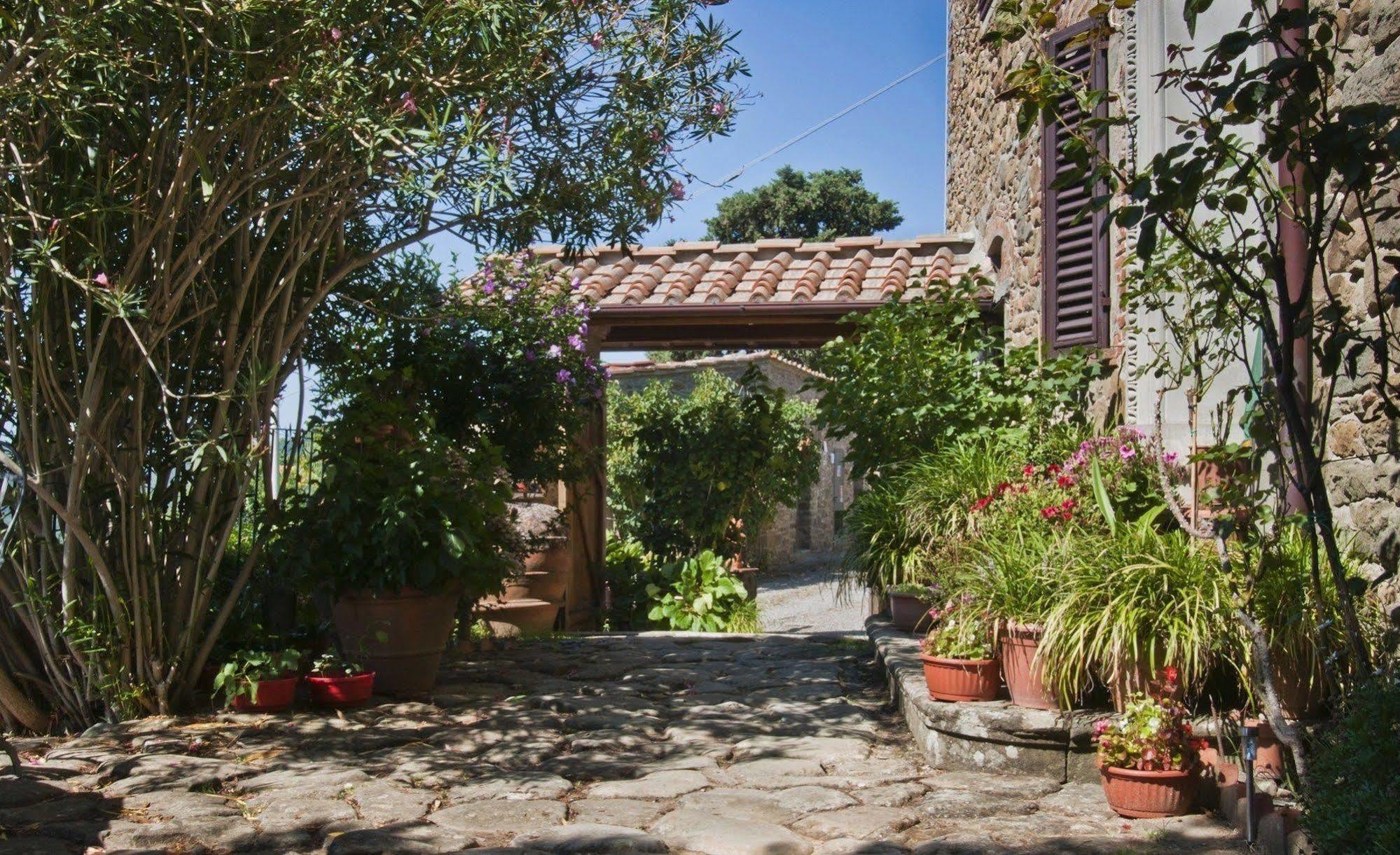 Agriturismo La Camporena 基安蒂格雷夫 外观 照片